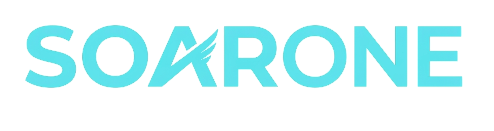 SoarOne